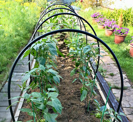 Similar image 22611630