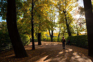 Similar image 22611962