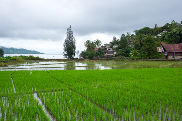 Similar image 22611884