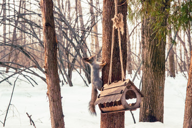 Similar image 22615604