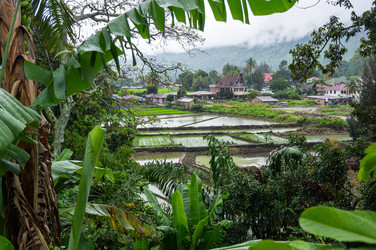 Similar image 22611892