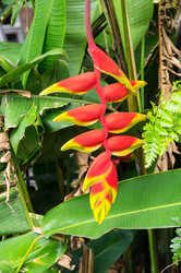 Similar image 22611893