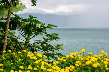 Similar image 22611902