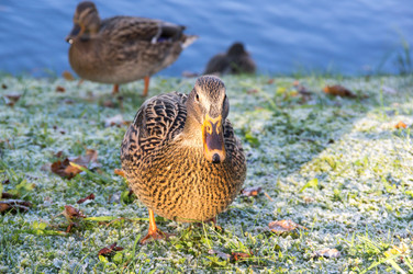 Similar image 22611904