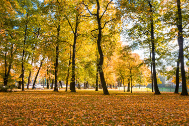 Similar image 22611913