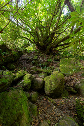 Similar image 22611918