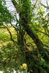 Similar image 22611919