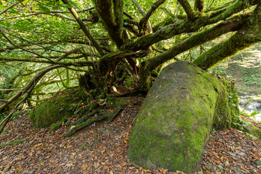 Similar image 22611920