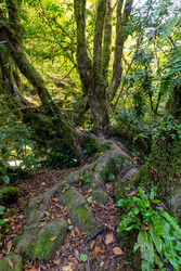 Similar image 22611921