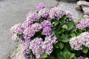 Similar image 22621805