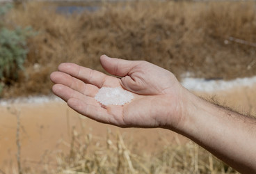 Similar image 22621811