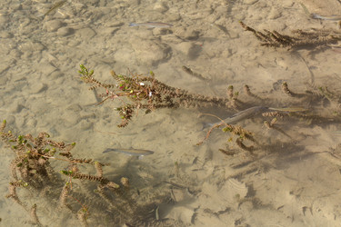 Similar image 22618157