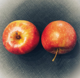 Similar image 22610754