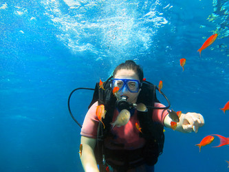 Similar image 22610767