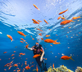 Similar image 22610770