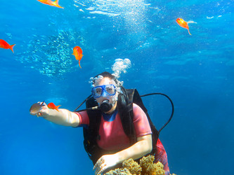 Similar image 22610771