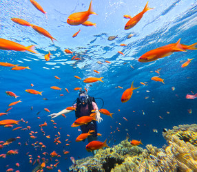 Similar image 22610782