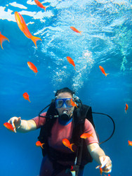 Similar image 22610783