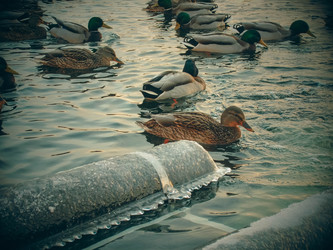 Similar image 22618126