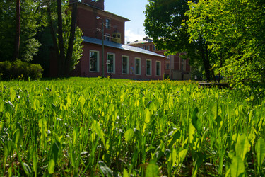 Similar image 22610756