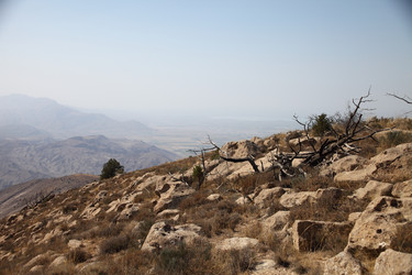 Similar image 22619321