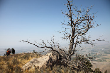 Similar image 22619323