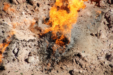 Similar image 22619324