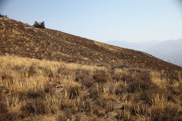 Similar image 22619325