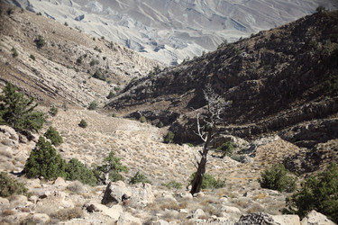 Similar image 22619328