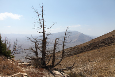 Similar image 22619342