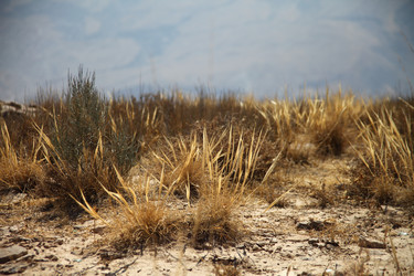 Similar image 22619344