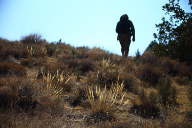 Similar image 22619368