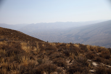 Similar image 22619373