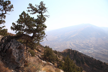 Similar image 22619380