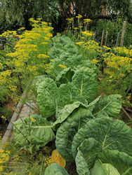 Similar image 22617156