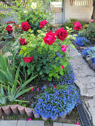 Similar image 22617157