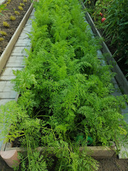 Similar image 22617159