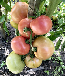 Similar image 22617180