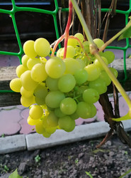 Similar image 22617181