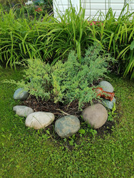 Similar image 22617182