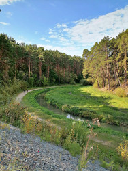 Similar image 22617184