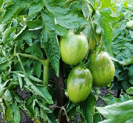 Similar image 22617186