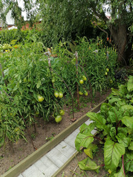 Similar image 22617187