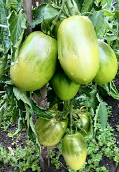 Similar image 22617188