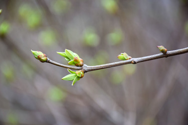 Similar image 22620501