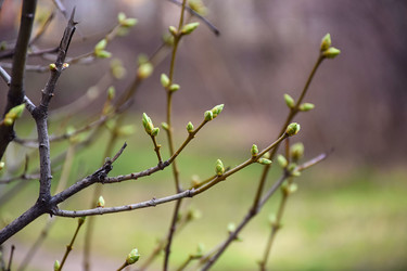 Similar image 22620507