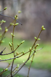 Similar image 22620508