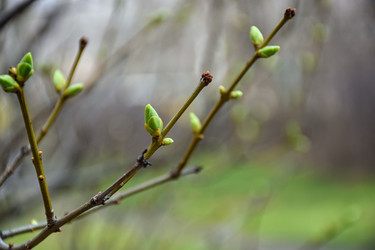 Similar image 22620519