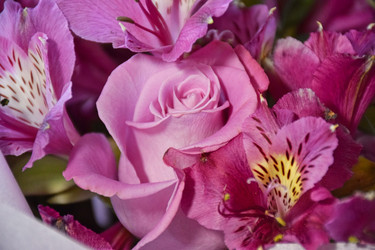 Similar image 22621114