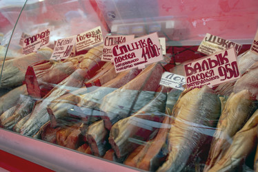 Similar image 22615100